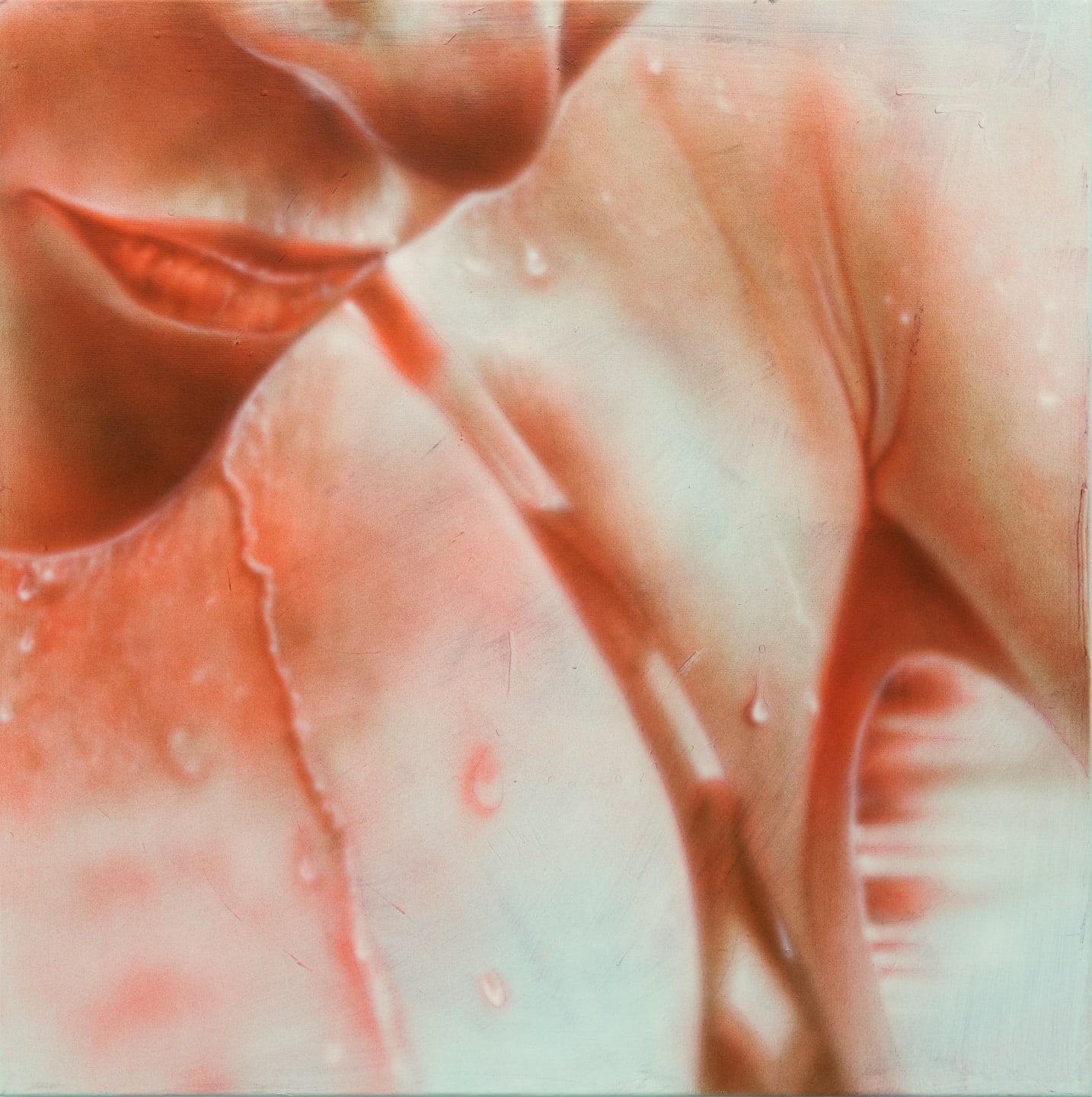 From 'Rafaella' by Will Sheldon at Company